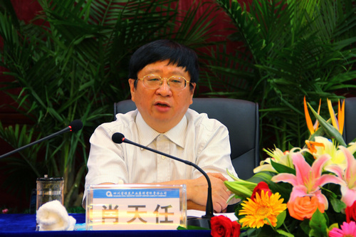 王中王資科一肖中持天，深度解析與SEO優(yōu)化策略，王中王資科一肖中持天深度解析與SEO優(yōu)化策略探討