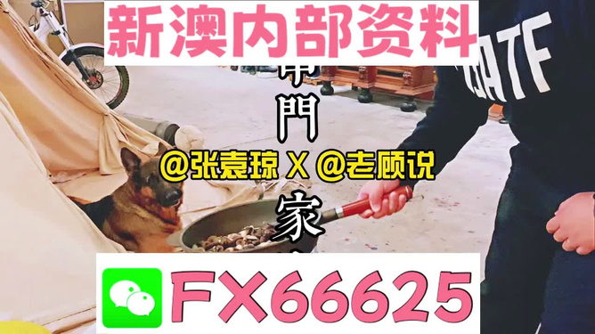 澳門正版管家婆資料大全，全面解析與深度探索，澳門正版管家婆資料大全，全面解析與深度探索之旅