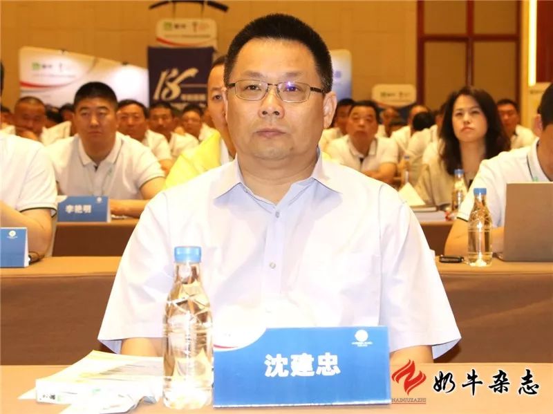 王中王一平特肖，揭秘第100期的秘密，揭秘第100期秘密，王中王一平特肖獨家爆料