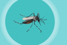 聞喜天氣預(yù)報——掌握天氣動態(tài)，安排生活出行，聞喜天氣預(yù)報，精準(zhǔn)掌握天氣動態(tài)，合理安排生活出行計劃