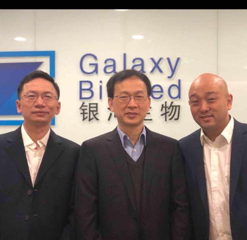 關(guān)于代碼000806的奧秘，深度解析與SEO優(yōu)化策略，代碼000806奧秘揭秘，深度解析與SEO優(yōu)化策略探討