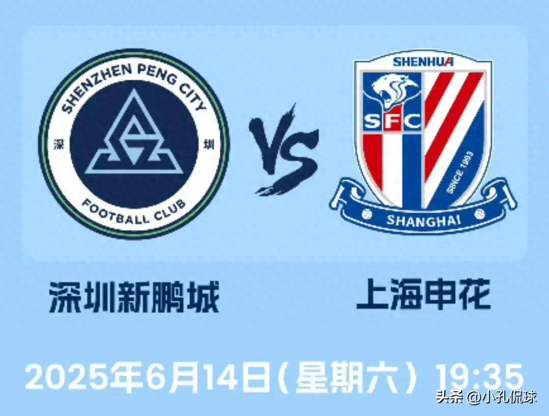 王中王一碼一肖一特一中，揭秘彩票背后的秘密，揭秘彩票背后的秘密，王中王一碼一肖一特一中探秘