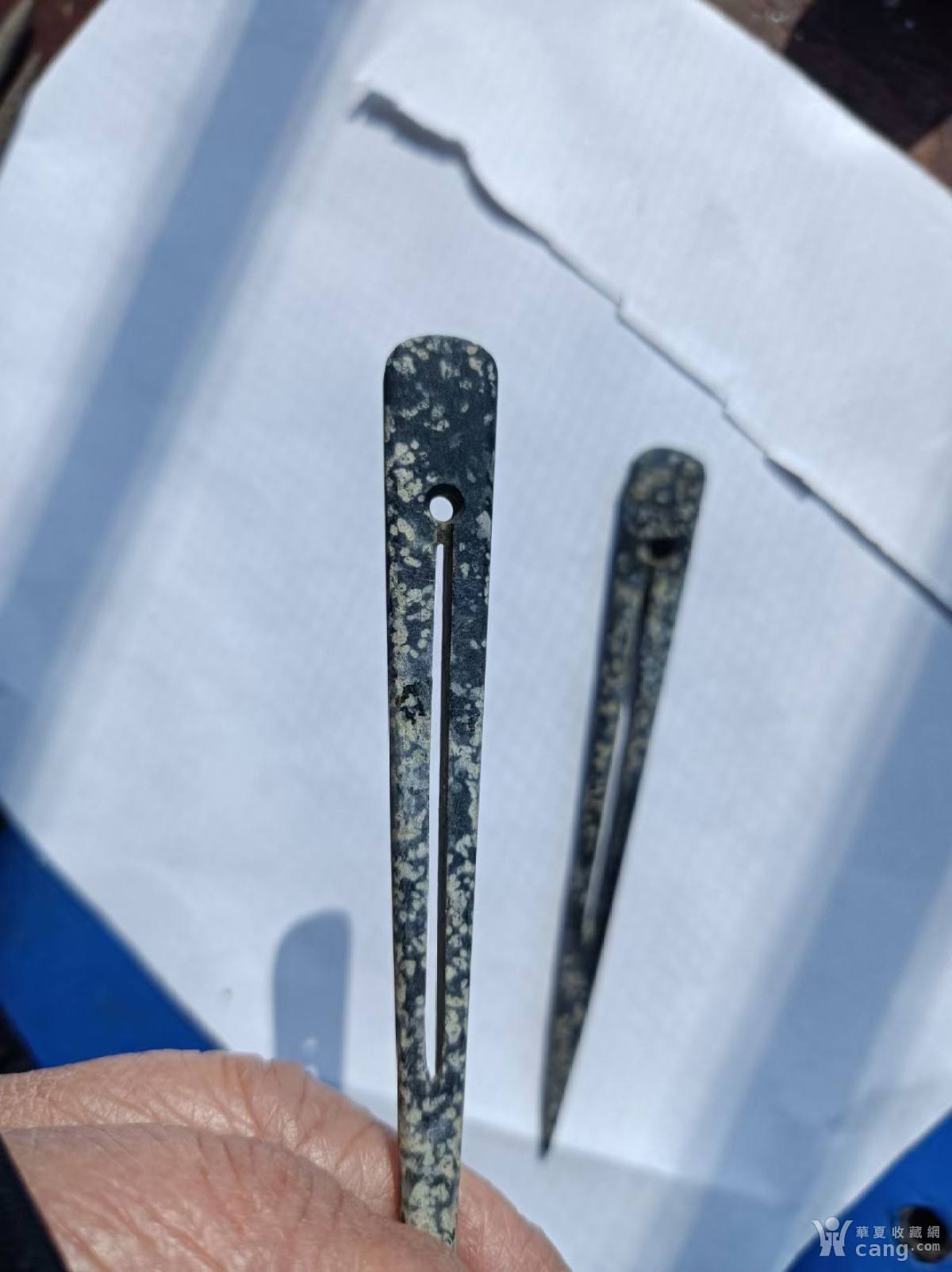 鐵笄盤王中王，一肖中特——揭秘背后的秘密，揭秘鐵笄盤王中王與一肖中特背后的秘密