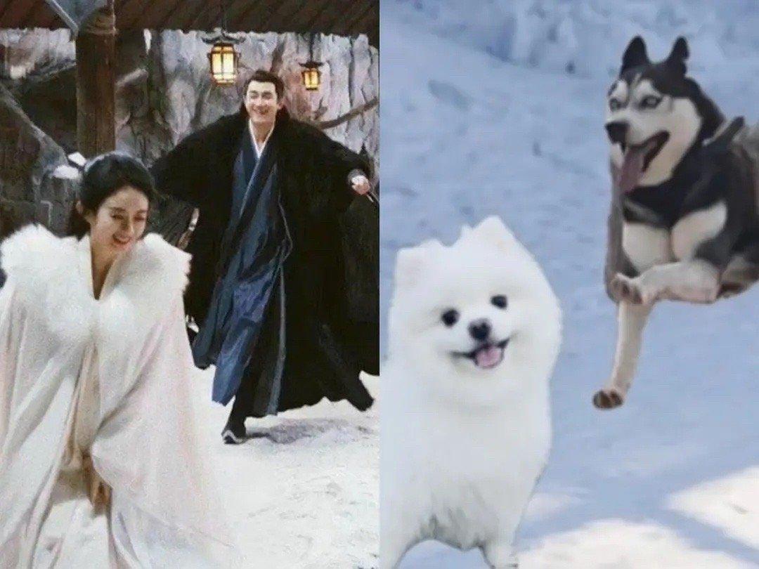 林更新趙麗穎，星光熠熠，共譜影視傳奇，林更新趙麗穎，星光熠熠，影視傳奇之戀