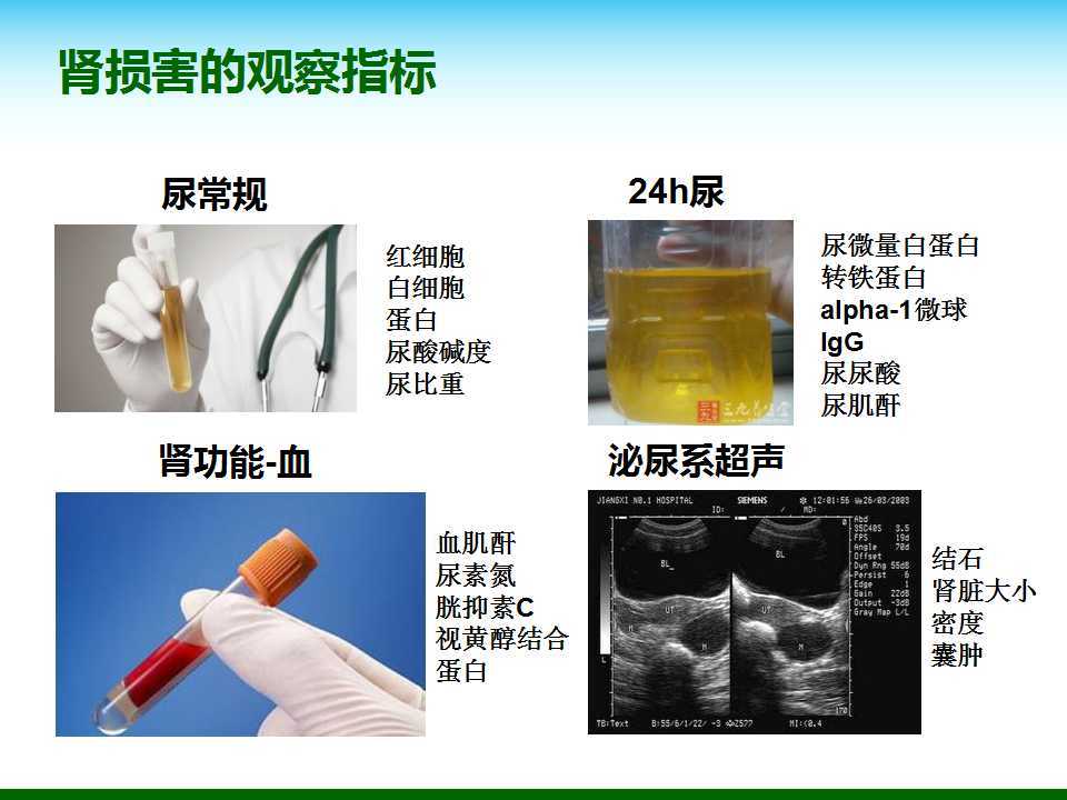 尿酸水平升高與腎臟健康，尿酸460是否意味著腎臟已經(jīng)受損？，尿酸水平升高與腎臟健康關(guān)系解析，尿酸460是否預(yù)示腎臟受損？