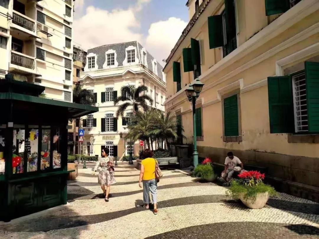 澳門二肖，探索與揭秘，澳門二肖，探索之旅與神秘揭秘