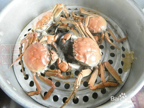 探索海鮮美味，正確的蒸螃蟹方法，探索海鮮美味之旅，正確蒸螃蟹的方法分享