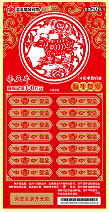 揭秘2020王中王平特一肖的神秘面紗，揭秘王中王平特一肖，神秘面紗下的真相