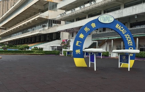 新澳門(mén)一肖一馬一特一中，探索與解析，澳門(mén)新玩法探索與解析，一肖一馬一特一中揭秘