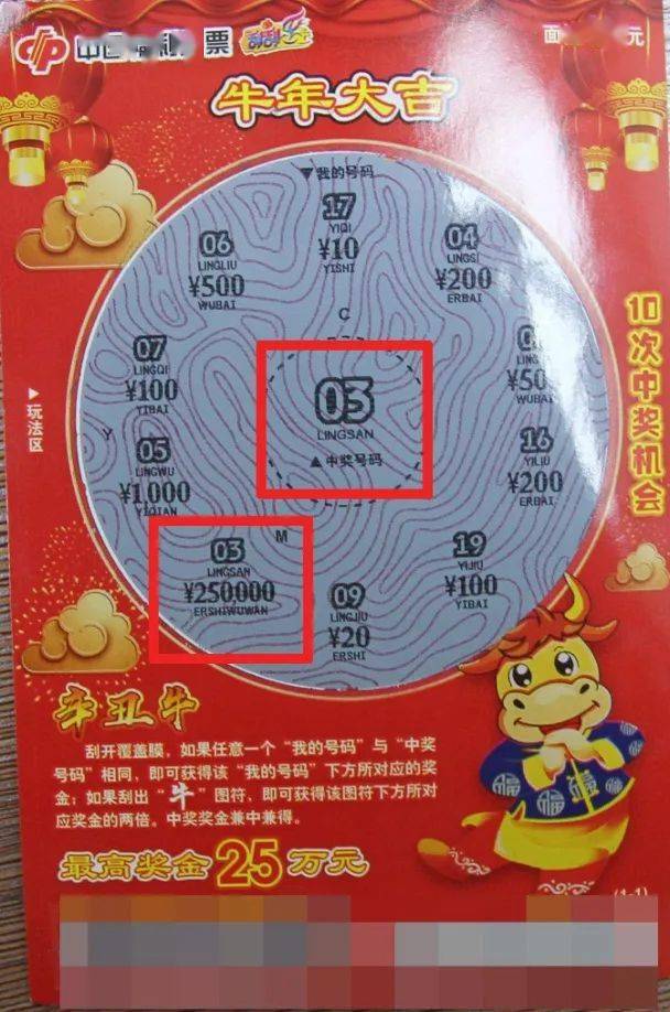 全年王中王資料一肖中特，深度解析與探索，全年王中王資料解析，一肖中特深度探索與解析