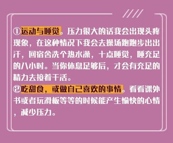 新澳內(nèi)部猛料揭秘，深度探索與獨(dú)特洞察，新澳內(nèi)部揭秘，深度探索與獨(dú)特洞察之旅