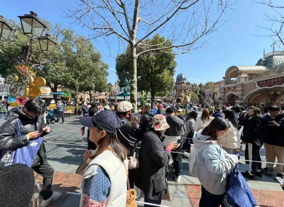 關(guān)于迪士尼上海倒閉的真相探討與深度解析，迪士尼上海倒閉真相深度探討與解析