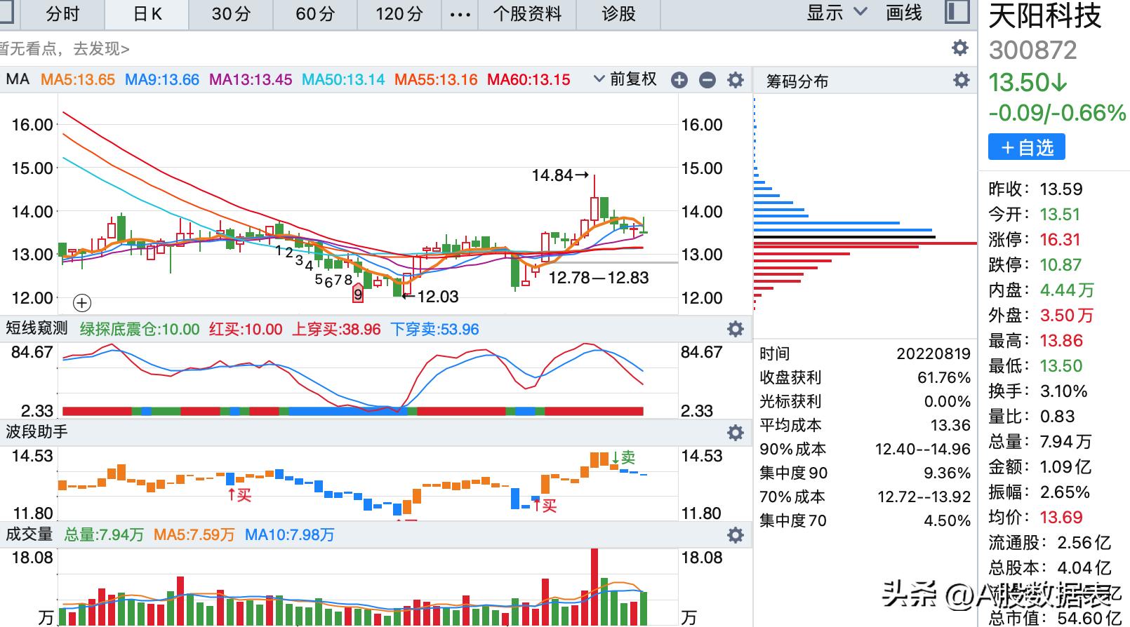 天陽科技股票，探索前沿科技，洞悉投資機遇，天陽科技股票，探索前沿科技，把握投資機遇