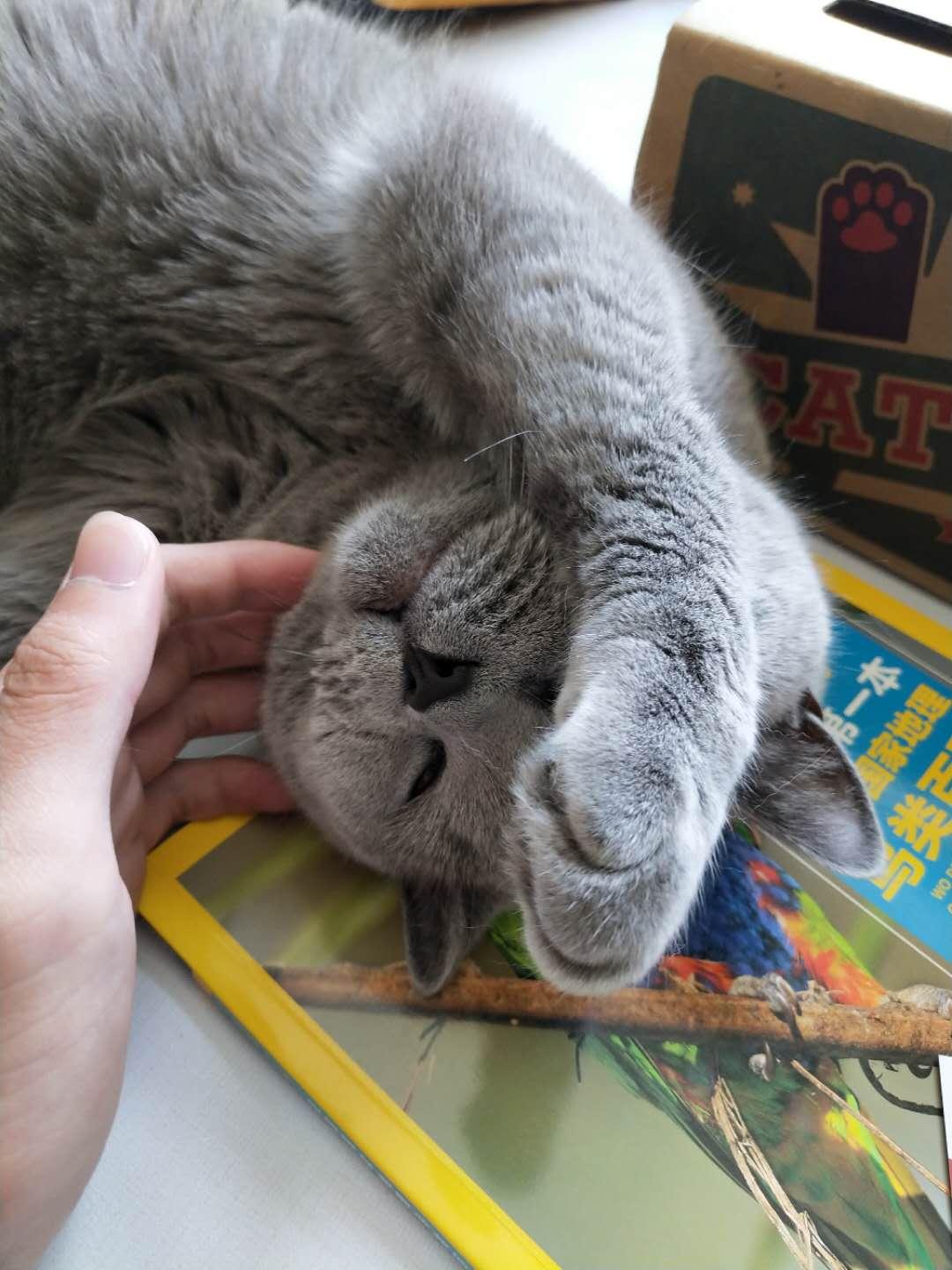 解決打呼嚕只需一杯水？真相揭秘與實(shí)用建議，解決打呼嚕只需一杯水？真相揭秘與實(shí)用方法總結(jié)