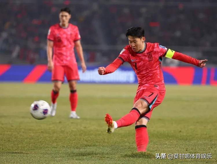 王中王獨(dú)一特肖，揭秘背后的故事與SEO奧秘，揭秘王中王獨(dú)一特肖背后的故事與SEO奧秘之道