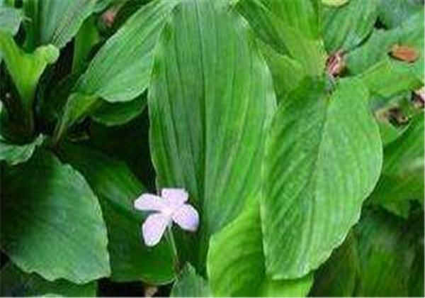 牙痛不止？嘗試這十秒止疼法，輕松緩解不適，十秒止疼法，輕松緩解牙痛不適