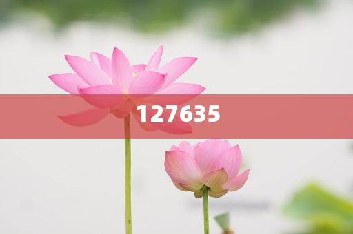 探索全新精準(zhǔn)傳真服務(wù)，7777788888新精準(zhǔn)傳真解析，全新精準(zhǔn)傳真服務(wù)解析，7777788888傳真新體驗