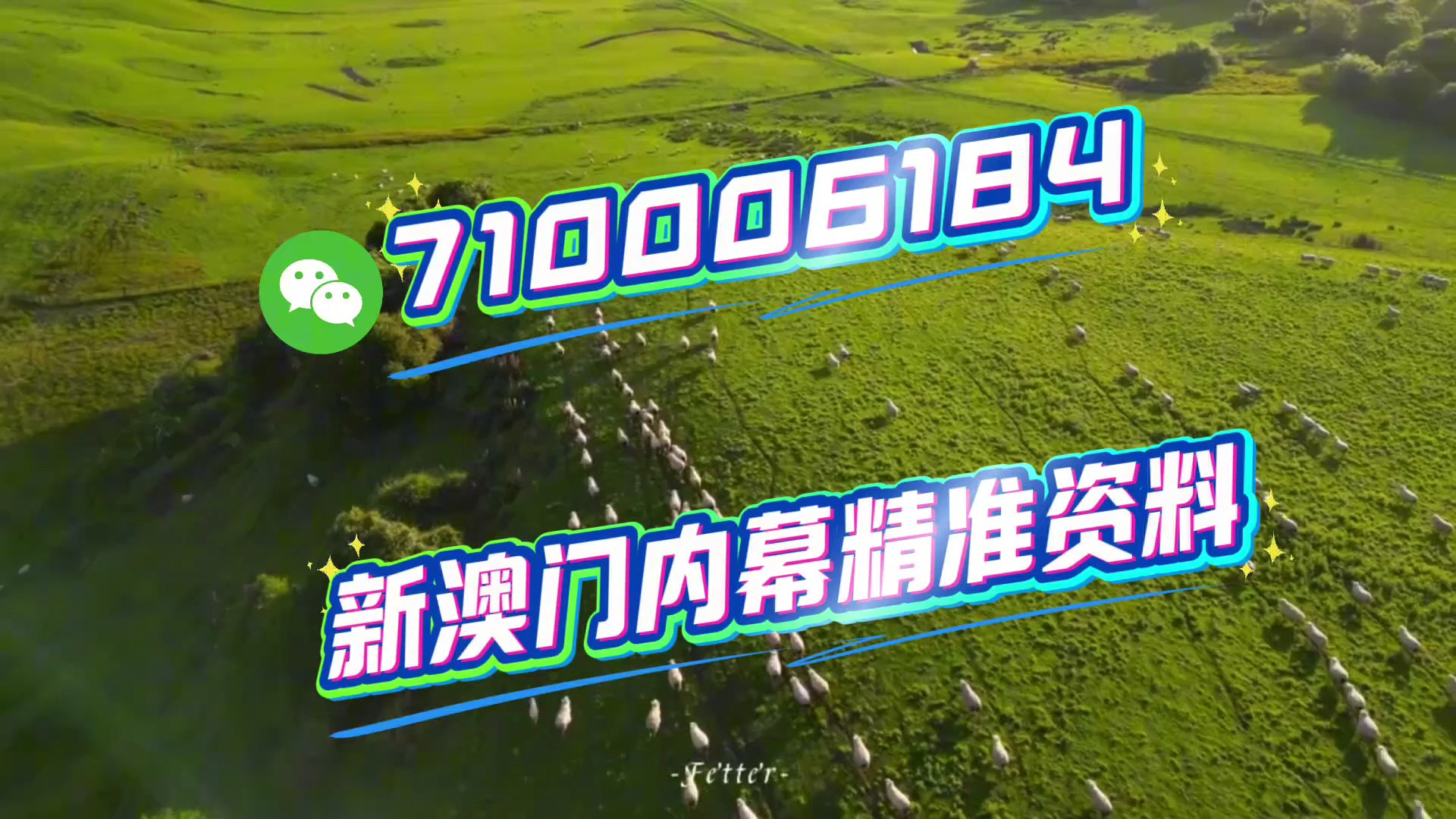 關(guān)于澳門今晚特馬生肖的預(yù)測(cè)與探討——以2025年為視角，澳門生肖預(yù)測(cè)，以2025年為視角探討今晚特馬生肖預(yù)測(cè)