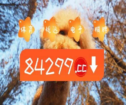 澳門天天開彩大全免費——彩票愛好者的福音，澳門天天開彩大全免費，彩票愛好者的福音資訊