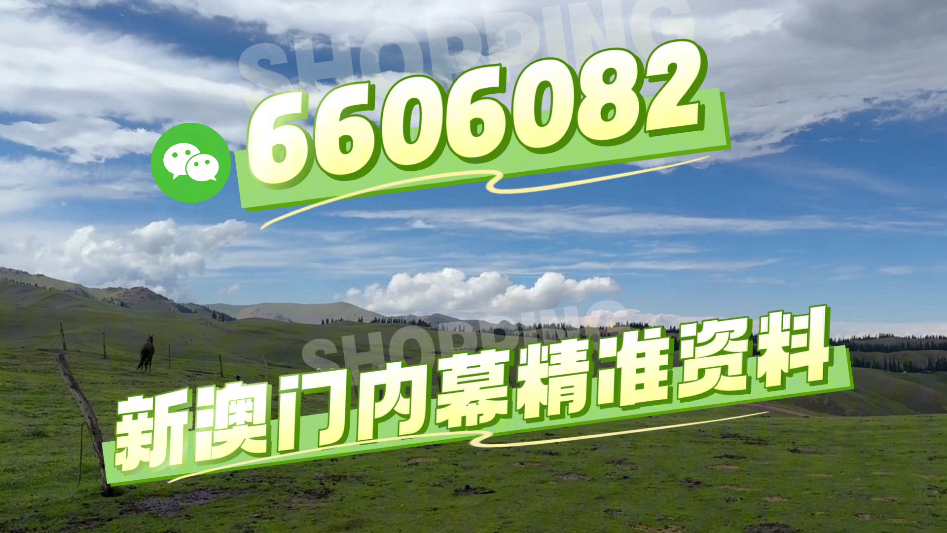 澳門(mén)特馬第138期開(kāi)獎(jiǎng)?lì)A(yù)測(cè)與解析（2025年今晚版），澳門(mén)特馬第138期開(kāi)獎(jiǎng)?lì)A(yù)測(cè)與解析（今晚版2025年）