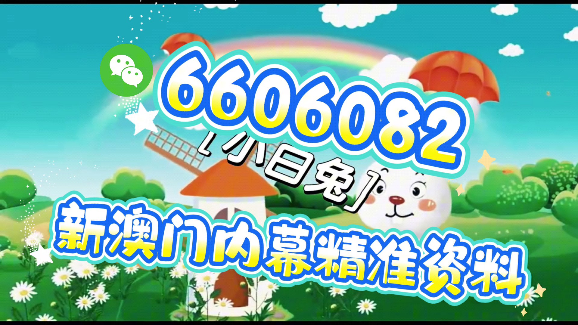 澳門四肖八碼期期準免費精準資料，揭秘與探索，澳門四肖八碼期期精準揭秘與探索，免費精準資料大揭秘