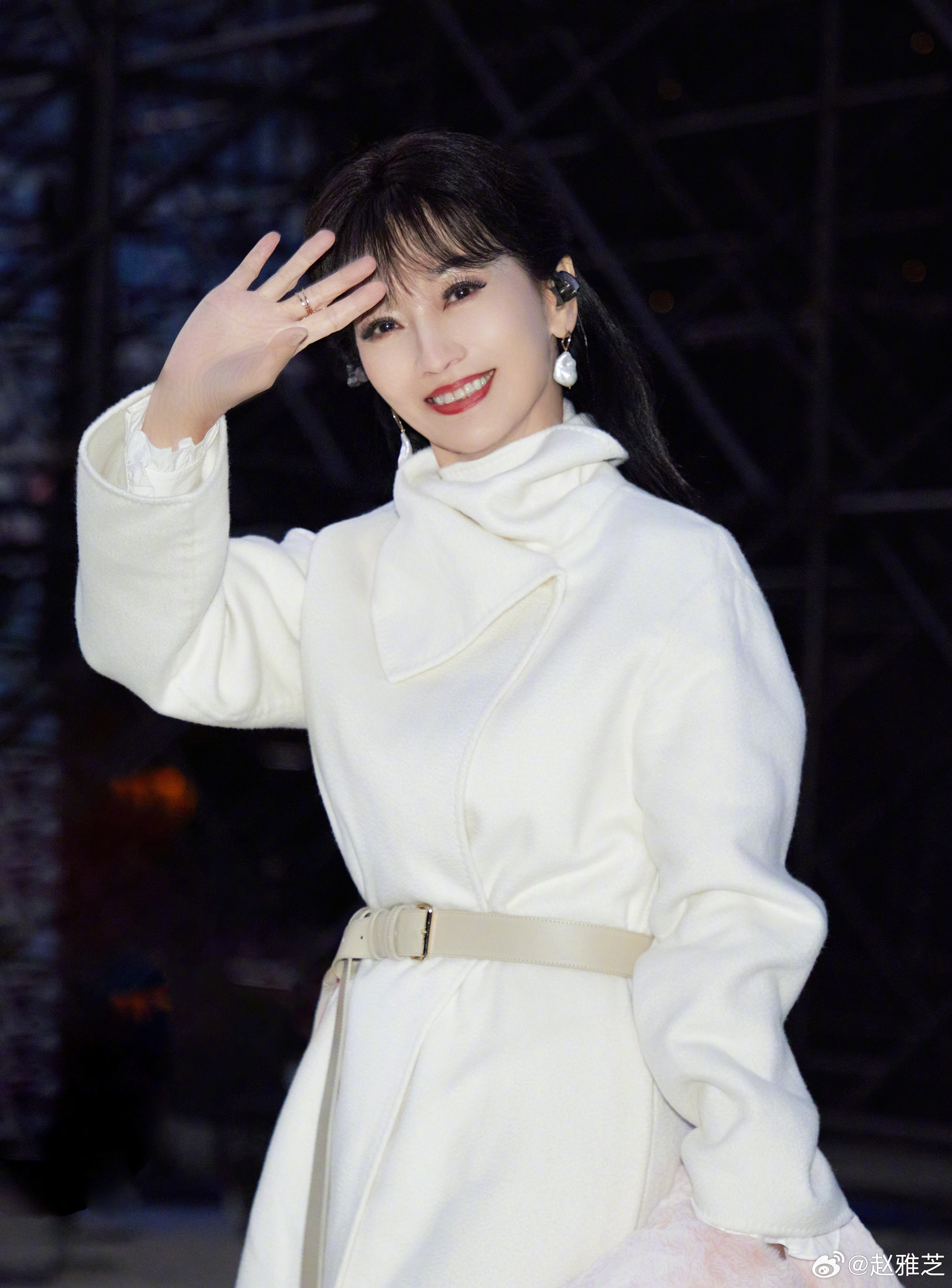 演員趙雅芝個人資料，歲月不敗的美人傳奇，趙雅芝，歲月不敗的美人傳奇人生