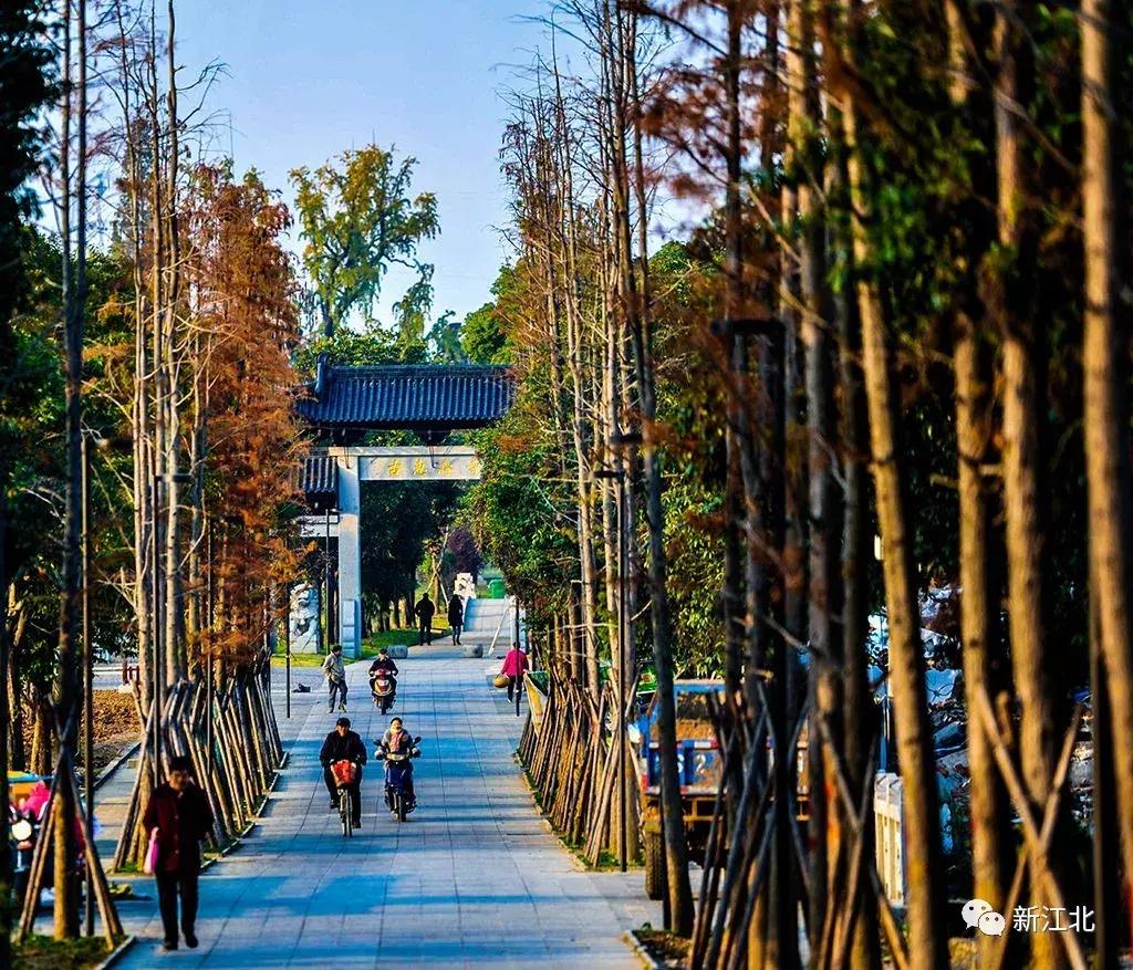 劉伯溫騎馬打一生肖，傳奇故事與生肖運(yùn)勢解讀，劉伯溫傳奇故事與生肖運(yùn)勢解讀，騎馬打一生肖的奧秘