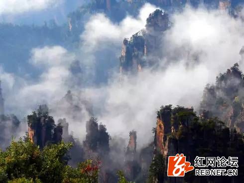 張家界旅游咨詢電話——您的旅游首選咨詢伙伴，張家界旅游咨詢電話，首選咨詢伙伴，啟程美好旅程