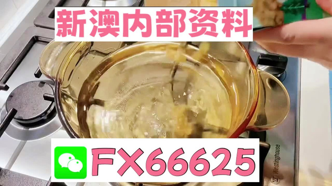 新澳一碼料，深度解析與SEO優(yōu)化策略，新澳一碼料深度解析與SEO優(yōu)化策略指南