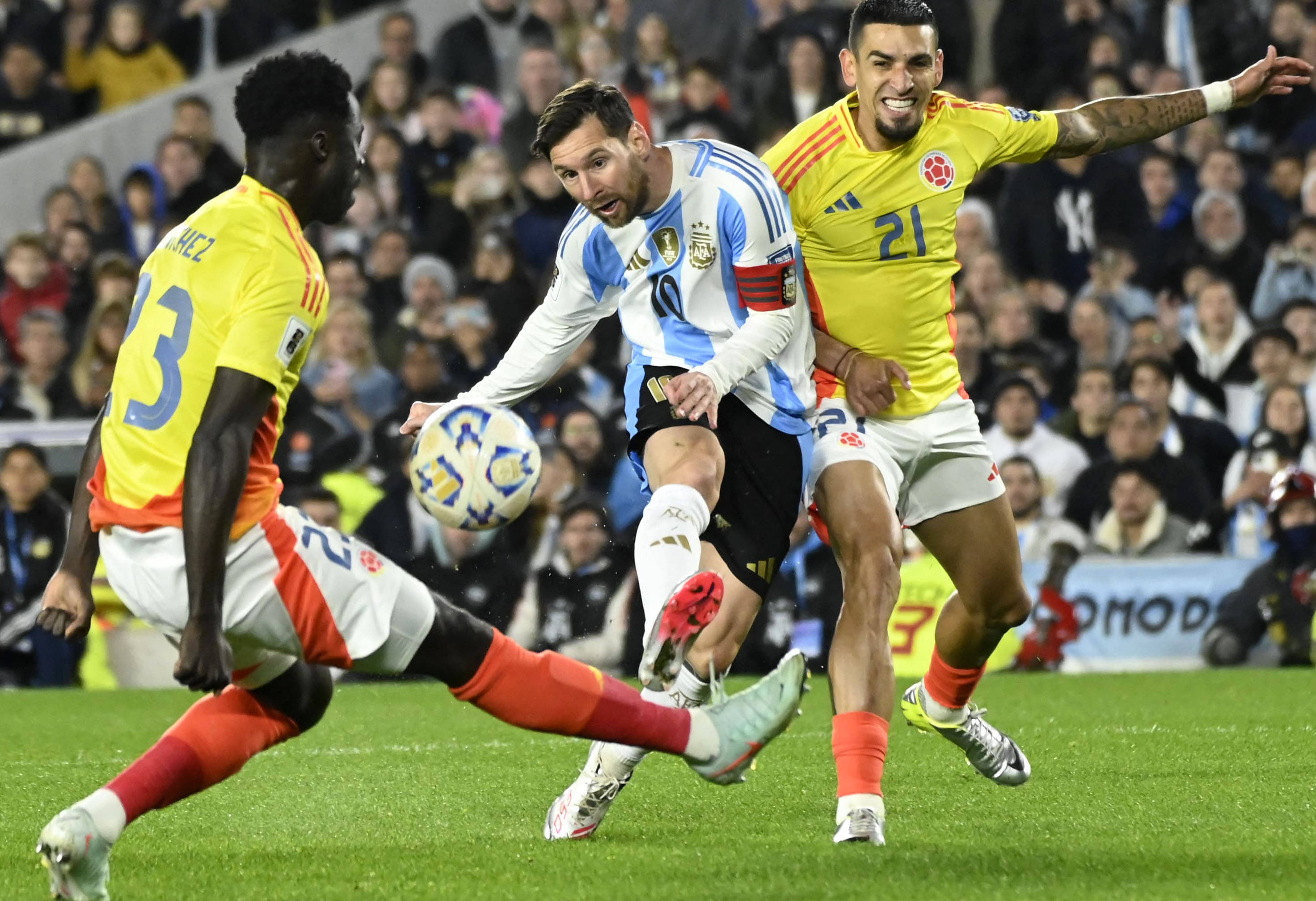 王中王077期一肖特種，深度解析與SEO優(yōu)化策略，王中王077期生肖特種深度解析與SEO優(yōu)化策略探討