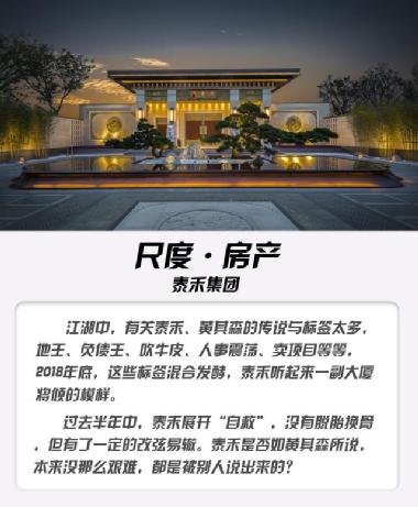 泰禾集團(tuán)股吧，深度解析與前景展望，泰禾集團(tuán)股吧，深度解析及前景展望