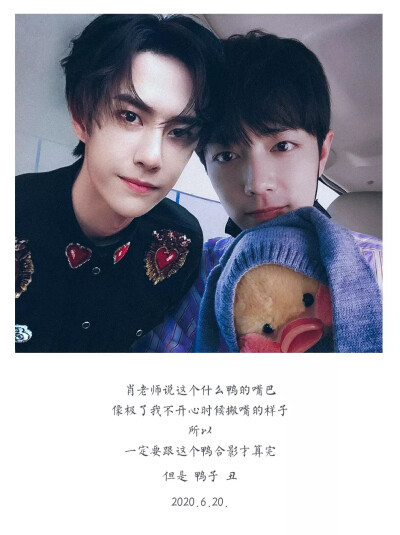 王中王一肖資料一肖王，深度解析與SEO優(yōu)化文章，王中王一肖資料深度解析與SEO優(yōu)化策略探討