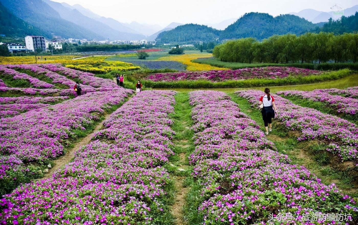 去重慶旅游攻略及費用要多少，重慶旅游攻略及預(yù)算全解析