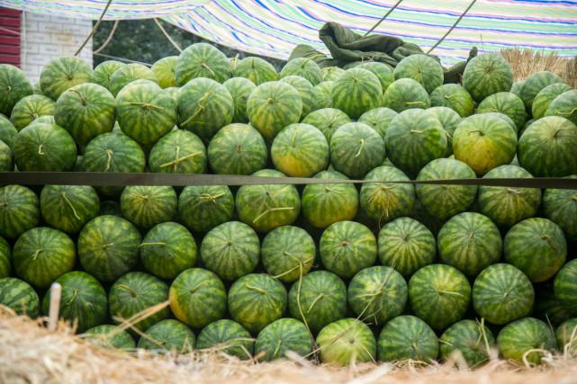 澳門一碼一肖預測，揭秘真相與風險應對，澳門一碼一肖預測揭秘，真相探索與風險應對策略