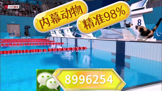 澳門彩票王中王開獎(jiǎng)結(jié)果，探索未來(lái)的預(yù)測(cè)與策略（2025年展望），澳門彩票王中王開獎(jiǎng)結(jié)果展望，未來(lái)預(yù)測(cè)與策略（2025年展望）