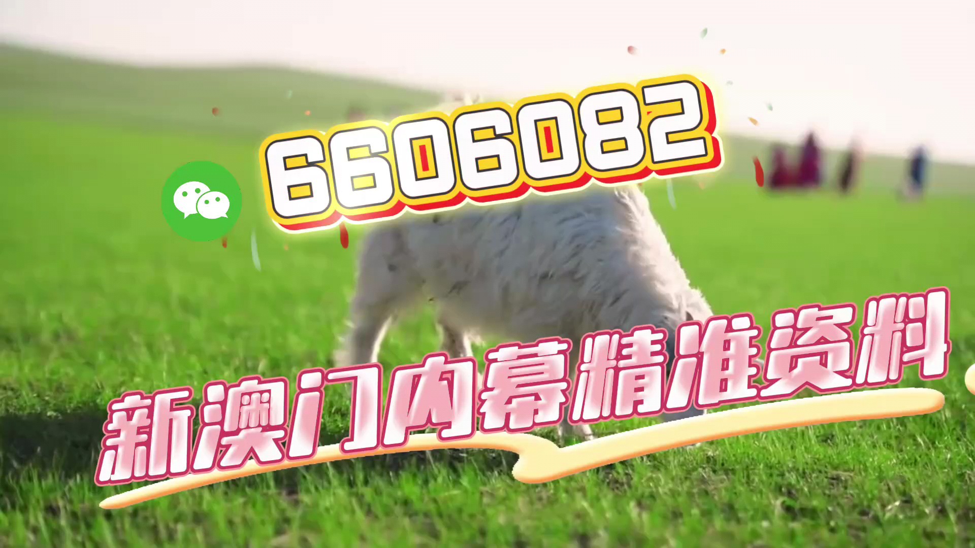 新澳門期期準(zhǔn)免費(fèi)期期準(zhǔn)，探索真實(shí)性與背后的秘密，澳門彩票背后的真實(shí)性與秘密探索