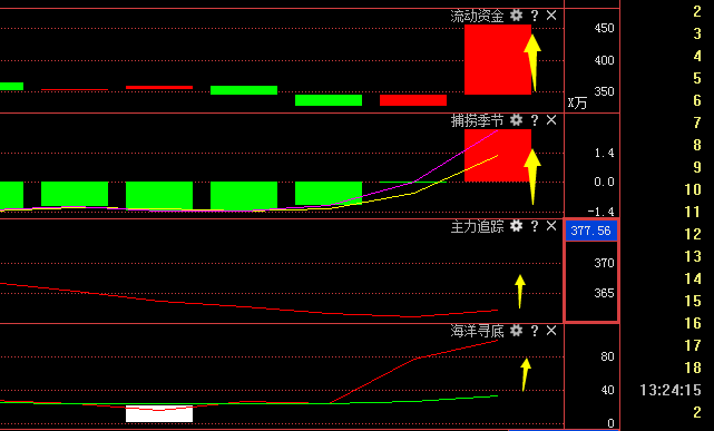 關(guān)于股票300175的全面解析，股票300175全面解析，深度剖析與預(yù)測(cè)