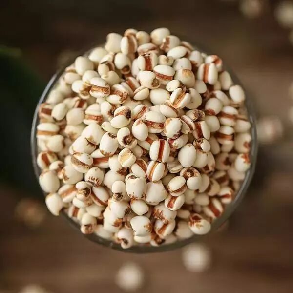 薏米，一種健康寶藏的神奇谷物，薏米，健康寶藏的神奇谷物