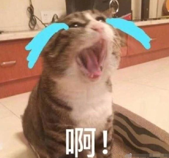 關(guān)于叫出來 我想聽的探討與分享，關(guān)于叫出來 我想聽的的探討與分享