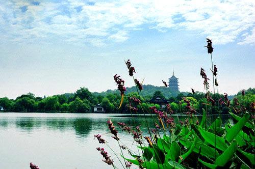 杭州市西湖風(fēng)景名勝區(qū)的魅力與SEO優(yōu)化策略，西湖風(fēng)景名勝區(qū)魅力揭秘與SEO優(yōu)化策略探索