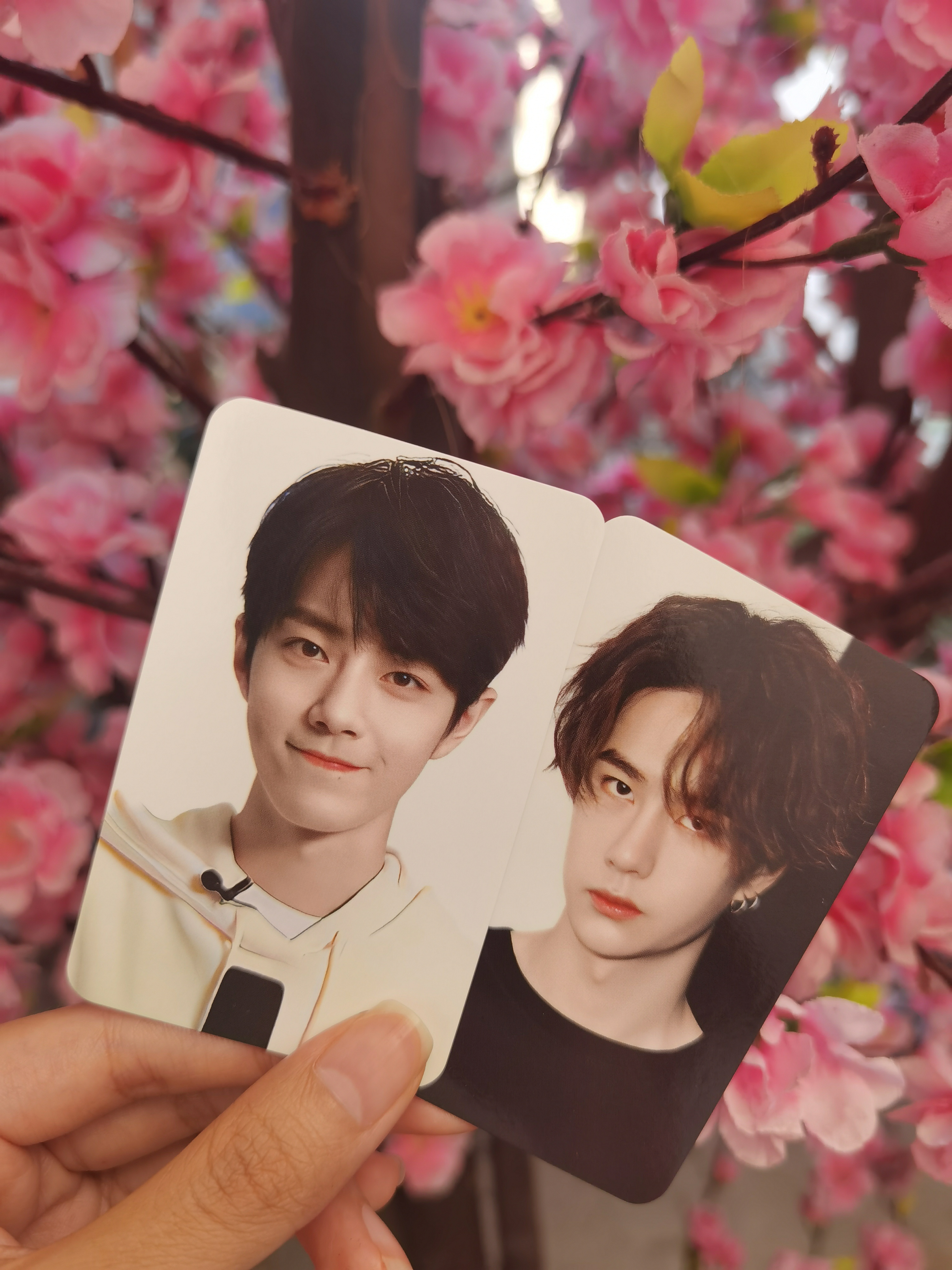 王中王一肖中特一肖精準(zhǔn)預(yù)測(cè)——揭秘生肖運(yùn)勢(shì)的秘密，揭秘生肖運(yùn)勢(shì)，王中王一肖精準(zhǔn)預(yù)測(cè)特選生肖運(yùn)勢(shì)秘密