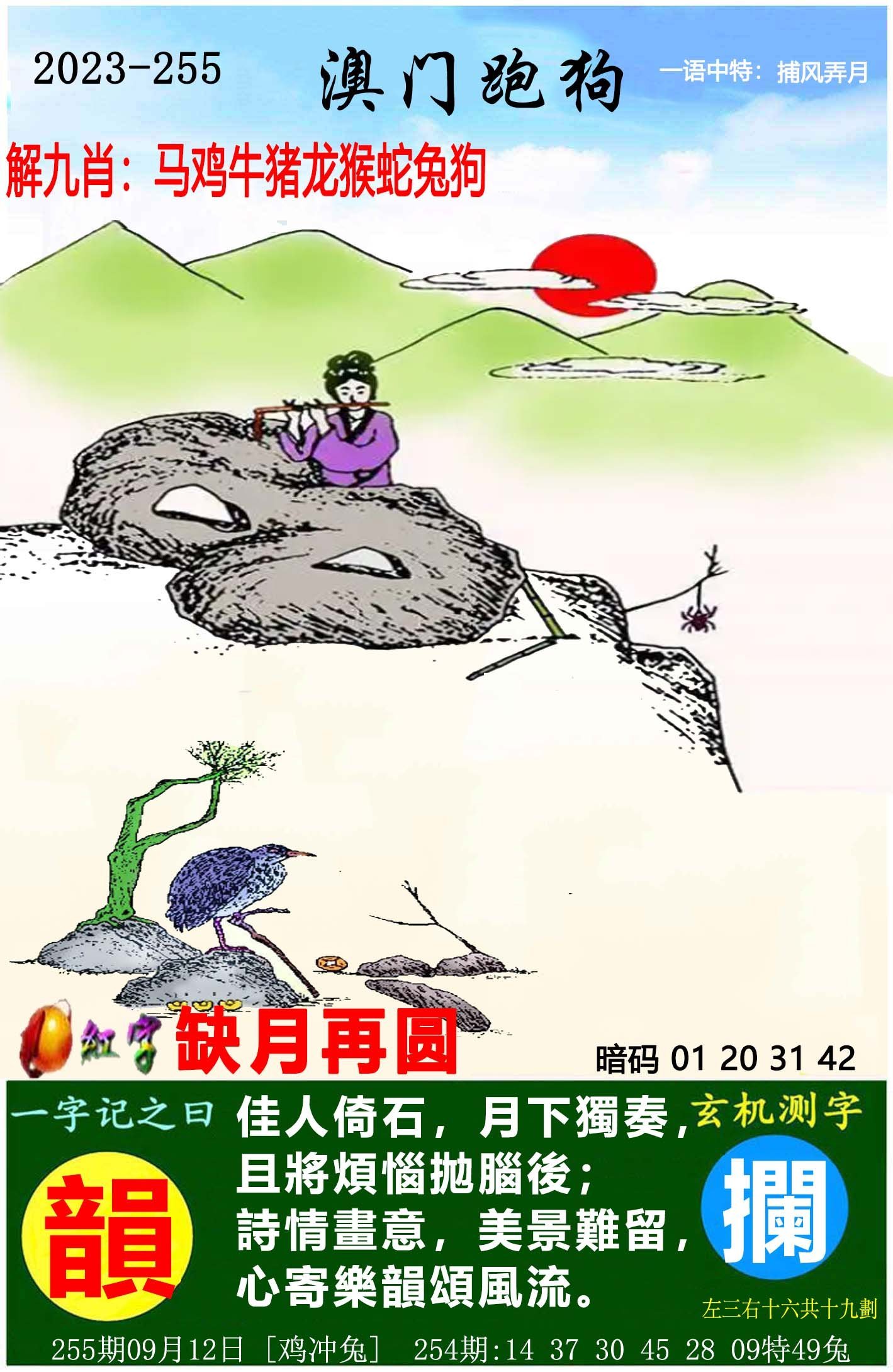 澳門六開獎結(jié)果特馬師——探索與解析，澳門六開獎結(jié)果特馬師解析與探索