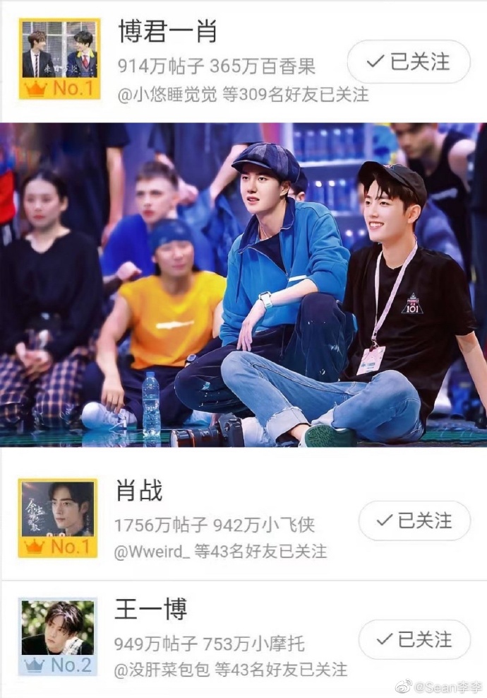 王中王一肖中特資料詳解，王中王一肖中特資料深度解析