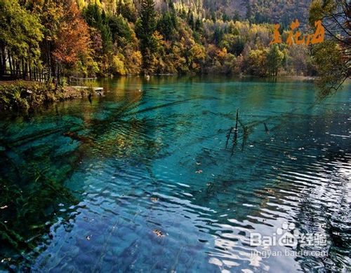 九寨溝風(fēng)景區(qū)景點(diǎn)詳細(xì)介紹，九寨溝風(fēng)景區(qū)景點(diǎn)全面詳解