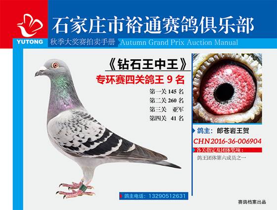 王中王一期一肖特中獎(jiǎng)，揭秘彩票背后的秘密與策略，揭秘彩票背后的秘密與策略，王中王一期一肖特中獎(jiǎng)解析