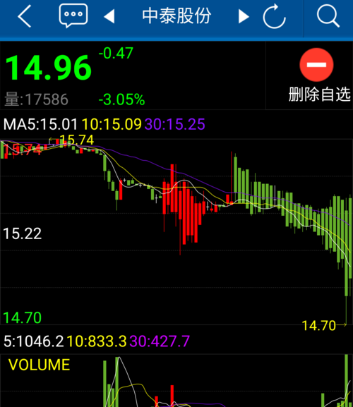 中泰股份股吧深度解析，投資潛力與未來發(fā)展展望，中泰股份股吧解析及投資潛力與未來發(fā)展展望