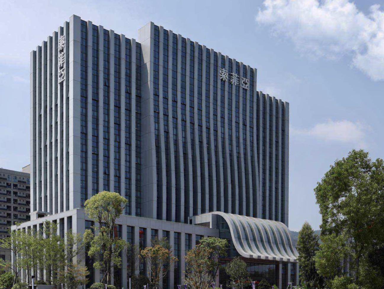 索菲亞，探尋品牌魅力與SEO優(yōu)化之道，索菲亞，品牌魅力與SEO優(yōu)化之旅