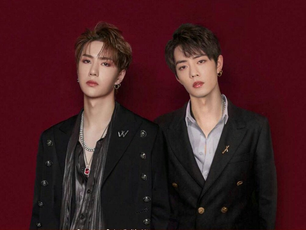 王中王一肖資料詳解，一探究竟的全方位解析，王中王一肖全方位深度解析，資料詳解與探究真相