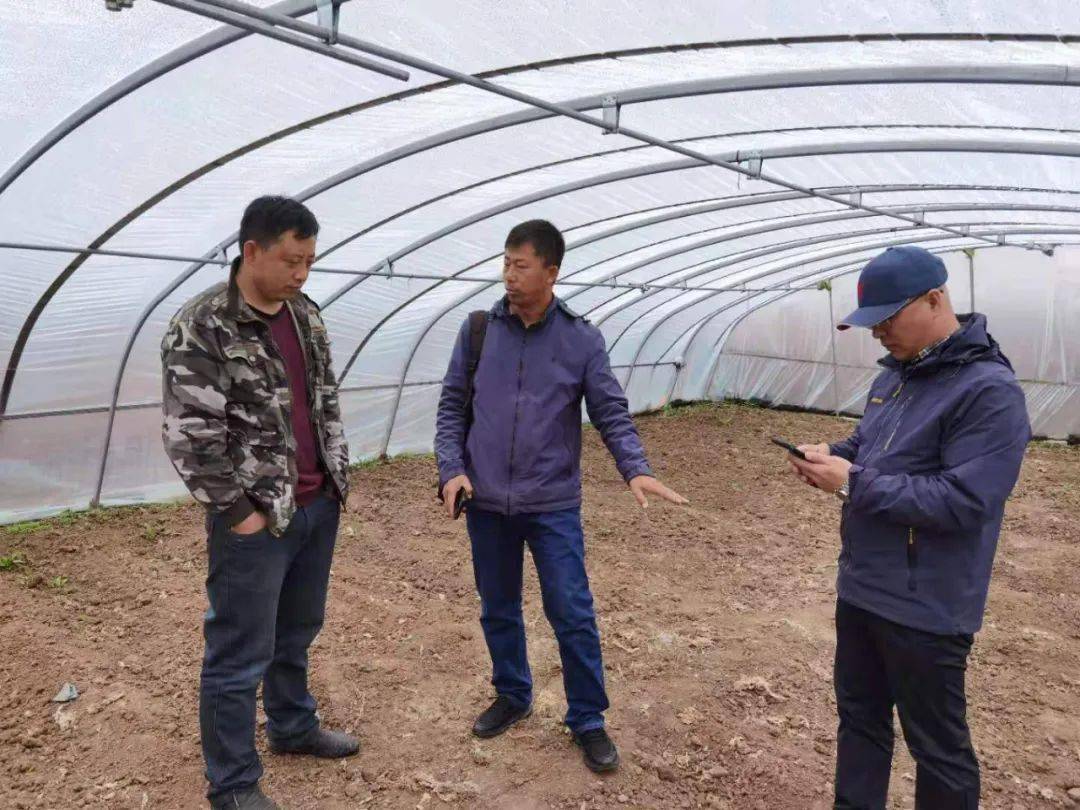 新澳門王中王期期命中，揭秘背后的秘密與策略，揭秘新澳門王中王期期命中的秘密與策略之道