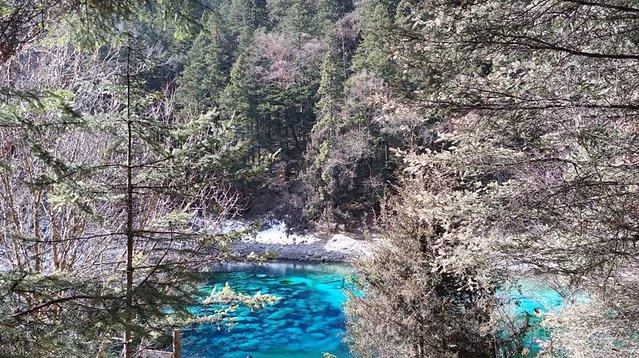 重慶到九寨溝跟團(tuán)游價(jià)格全解析，重慶到九寨溝跟團(tuán)游費(fèi)用全面解析